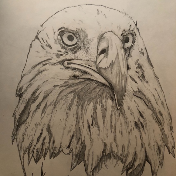 Drawing - Picture 8 of 12